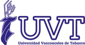 Vasconcelos University of the South-East -VUSE